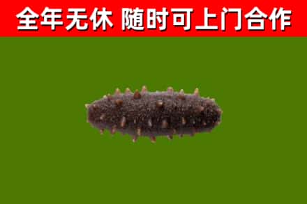 河东烟酒回收干海参.jpg